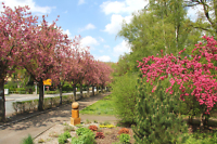Park Park